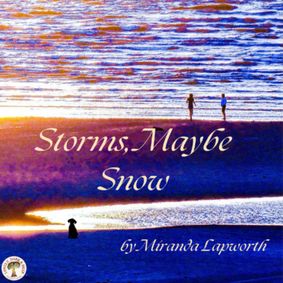 Storms, Maybe Snow show poster