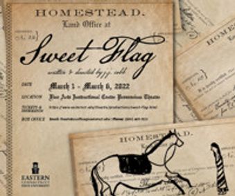 Sweet Flag show poster