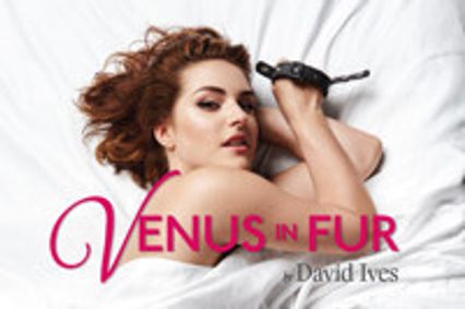 Venus in Fur show poster