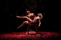 PILOBOLUS