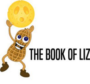 The Book Of Liz show poster