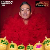 DOM WE NOW OUR GAY APPAREL