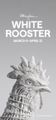 White Rooster in Chicago