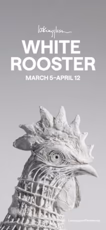 White Rooster