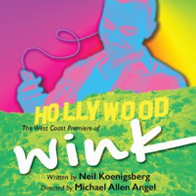 Wink show poster