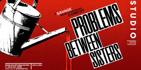 Problems Between Sisters show poster