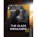 The Glass Menagerie in Broadway