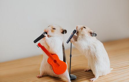 Feed Your Senses LIVE featuring the Grady Glenn Collaboration show poster