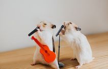 Feed Your Senses LIVE featuring the Grady Glenn Collaboration