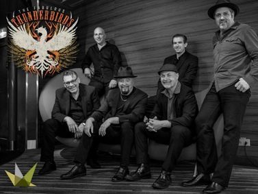 The Fabulous Thunderbirds show poster