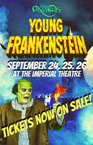 Young Frankenstein show poster