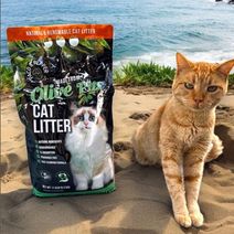 Eco-Litter for Happy Cats