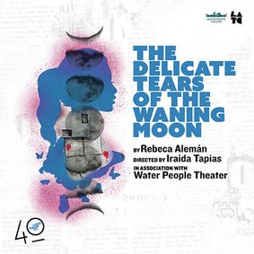The Delicate Tears of the Waning Moon show poster