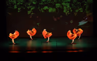 MOMIX Dance Performance in Dallas