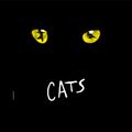 CATS in Australia - Sydney