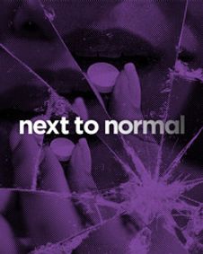 Next to Normal show poster