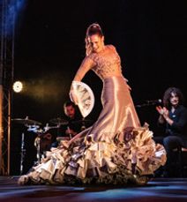 Flamenco Intimo