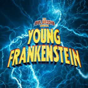 YOUNG FRANKENSTEIN show poster