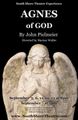 Agnes of God by John Pielmeier in Long Island