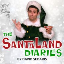 The Santaland Diaries