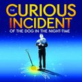 The Curious Incident of the Dog in the Night-Time in Hawaii