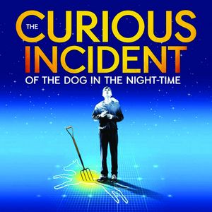 The Curious Incident of the Dog in the Night-Time