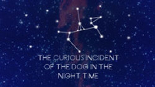 The Curious Incident of the Dog in the Night-Time show poster