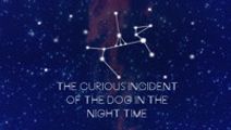 The Curious Incident of the Dog in the Night-Time