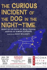 THE CURIOUS INCIDIENT OF THE DOG IN THE NIGHT-TIME show poster