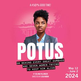 POTUS or Behind Every Great Dumbass are Seven Women Trying to Keep Him Alive show poster