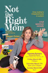 Not the Right Mom show poster