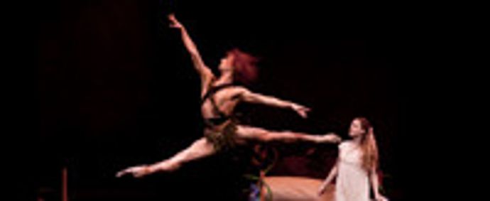 Peter Pan show poster