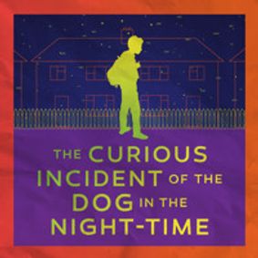 The Curious Incident of the Dog in the Night-Time show poster