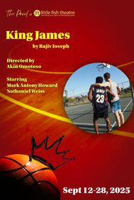 King James show poster