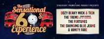 The sensational 60s experience 