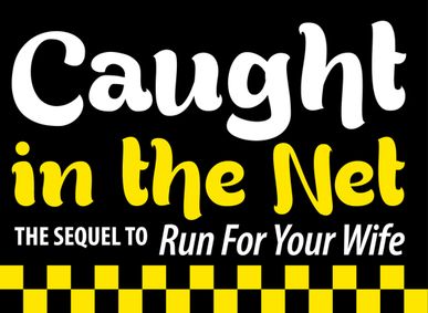 CAUGHT IN THE NET show poster