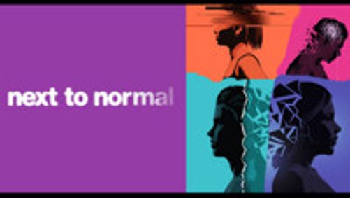 Next to Normal show poster