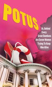 POTUS: Or, Behind Every Great Dumbass Are Seven Women Trying to Keep Him AliveBuy show poster
