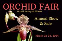 Orchid Fair Welcomes Spring!