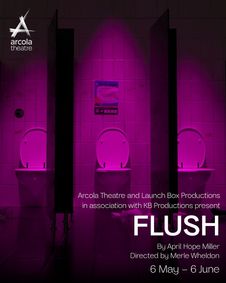 FLUSH show poster