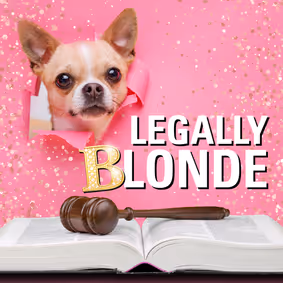 Legally Blonde show poster