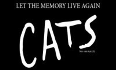 Cats show poster