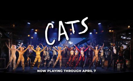Cats show poster