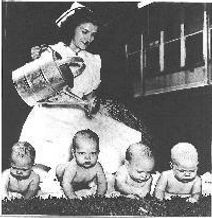 The Comedy of Errors