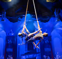 Cirque Dreams Holidaze in New Jersey