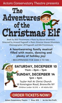 The Adventures of the Christmas Elf