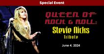 Queen of Rock & Roll: Stevie Nicks Tribute