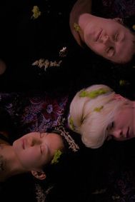 Unicorn Afterlife ~PLUS~ Babcia, or a Wild Woman by Any Other Name ~PLUS~ Garden of Florine show poster