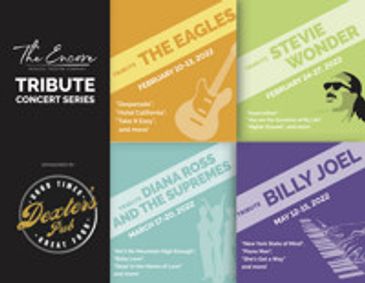 Stevie Wonder Tribute Concert show poster