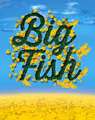 Big Fish in Sarasota